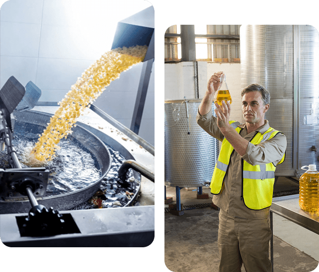 Corn kernels being poured into a machine.